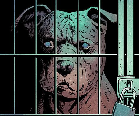 Animal Pound Ashcan (BOOM! Studios)